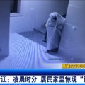 Un ladrón busca sortear las cámaras de seguridad vistiéndose de fantasma