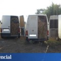 13.000 kilos de ajos robados: el negocio de las mafias rumanas en España se sofistica