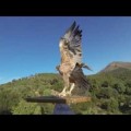 Una de las águilas más amenazadas (y hermosas) de España levanta el vuelo