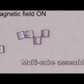 Microbot de origami captura y transporta células individuales (ING)