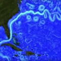 La Corriente del Golfo, simulada al detalle con superordenador