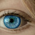 Una mujer de Reino Unido tiene un cono más en sus ojos y puede ver más colores [ENG]