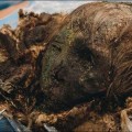 Una belleza polar momificada: recuperada la cabeza de una mujer en una antigua necrópolis siberiana