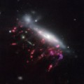 Los agujeros negros supermasivos se alimentan de medusas galácticas