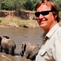 Muere asesinado el mayor defensor de los elefantes del mundo