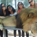 Animales drogados para hacerte un selfie en el zoológico más ¨popular¨ de Argentina