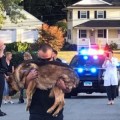 El emotivo homenaje de despedida que recibe un perro policía con cáncer