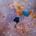 La sal marina de todo el mundo está contaminada con plástico [Eng]