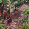Indígenas amazónicos reclaman apoyo tras la “masacre”