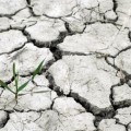 España no asiste a la Cumbre de ONU contra la desertificación a pesar de la sequía