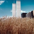 Un campo de trigo en el corazón de Manhattan, 1982 [ENG]