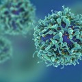 Las células T desempeñan un papel en la aparición de enfermedades y alergias