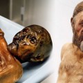 Encuentran 19 descendientes de Ötzi, el hombre de los hielos