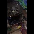 Cangrejo apaga el fuego de la cocina para rescatar a sus amigos