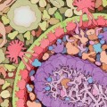 Obras maestras de microbios: Un pintor llega a donde el microscopio no puede [EN]