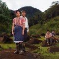 Pueblos indígenas logran una victoria histórica en Colombia y ejemplar para el mundo