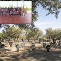 El único cementerio de soldados nazis en España, lugar de peregrinaje de ultras