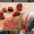 La Comisión Europea exige medidas a España para detener el fraude del atún rojo