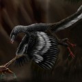 Explicación a cómo consiguieron los dinosaurios un pico para ser aves