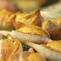 Científicos españoles desarrollan trigo sin gluten mediante edición génica con CRISPR [ENG]