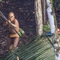 La masacre que desangra el Amazonas