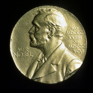 Nobel de Química para la criomicroscopía electrónica