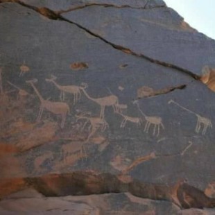 Representaciones prehistóricas de 15000 años de antigüedad descubiertas en Egipto