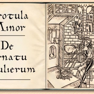 Trotula de Salerno, la primera ginecóloga de la Edad Media