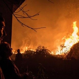 Los incendios de Galicia ponen el foco en el negocio de Ence: "Compramos madera de eucalipto"