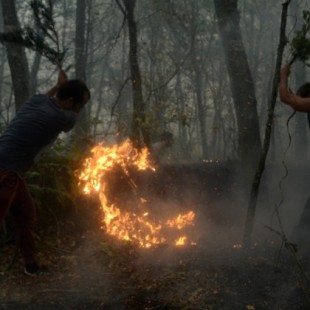 Grupos ecologistas gallegos expresan su apoyo al detenido por un incendio que quemó una hectárea (gal)