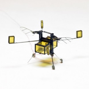 Desarrollan un dron-abeja que puede volar, sumergirse en el agua y propulsarse fuera de ella (ING)