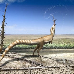 Un dinosaurio con patrones al estilo de un mapache existió hace 130 millones de años