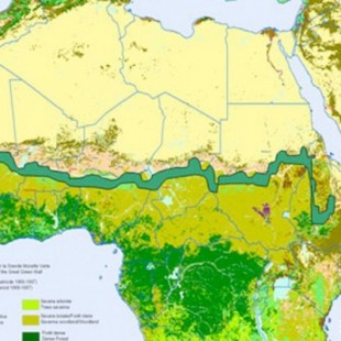 14 países africanos se unen para plantar una gran muralla verde en el Sahara