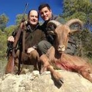 Los cazadores consiguen el apoyo del PP para acabar con la prohibición de la caza y pesca de especies exóticas...