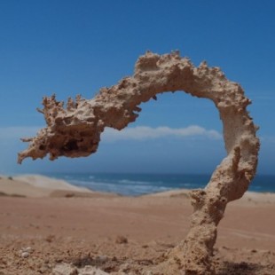 Fulguritas, las rocas creadas por la caída de rayos sobre la arena