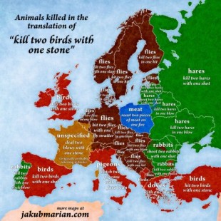 La expresión 'matar dos pájaros de un tiro' en las lenguas europeas [ENG]