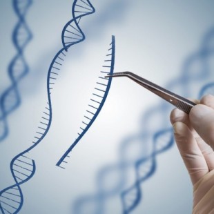 La guerra de patentes por CRISPR, el invento científico del siglo