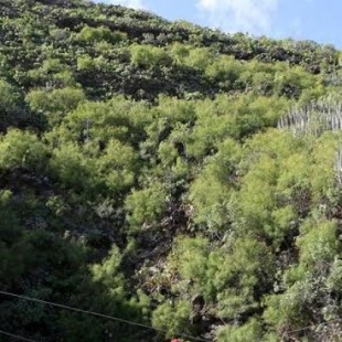 Un documental rescata del olvido el tubo volcánico al que fueron arrojadas víctimas del franquismo en Gran Canaria