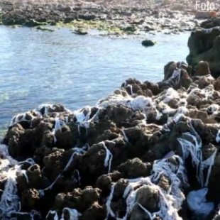 Miles de toallitas íntimas en la playa de Ibiza: el desolador destino tras tirarlas por el inodoro