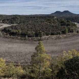 Los dramáticos efectos de la sequía en España: así están las Tablas de Daimiel o el río Tajo