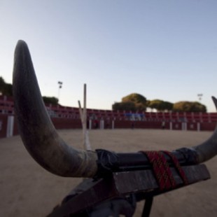 El Ayuntamiento de Madrid asegura con un nuevo contrato las clases de tauromaquia