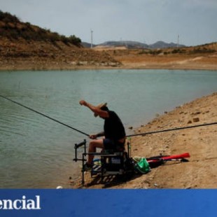 Alarma por la "hecatombe agrícola" que va camino de arruinar el sureste de España
