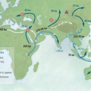 Revisando la historia de la dispersión de los humanos modernos a través de Eurasia