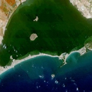 Medio Ambiente hará los dragados en el Mar Menor que rechazan la mayoría de los científicos