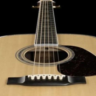 Palisandro: el árbol para hacer guitarras que se está extinguiendo