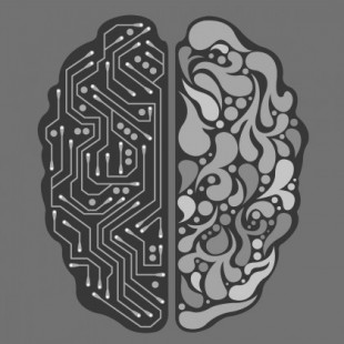 Proponen una nueva clasificación de los problemas de la consciencia