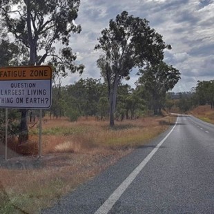 Algunas carreteras de Australia son tan aburridas que tienen preguntas de trivial como entretenimiento