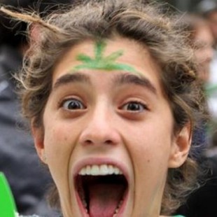 La legalización de la marihuana en Uruguay ha resultado ser todo un éxito