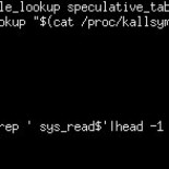 Bingo! IKPTI (Intel Kernel Page-Table Isolation) BUG [ENG]
