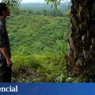 El 'ecoguerrero' que busca salvar la selva de Indonesia con su motosierra